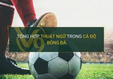 Tổng hợp "tất tần tật" những thuật ngữ cá độ bóng đá cần biết