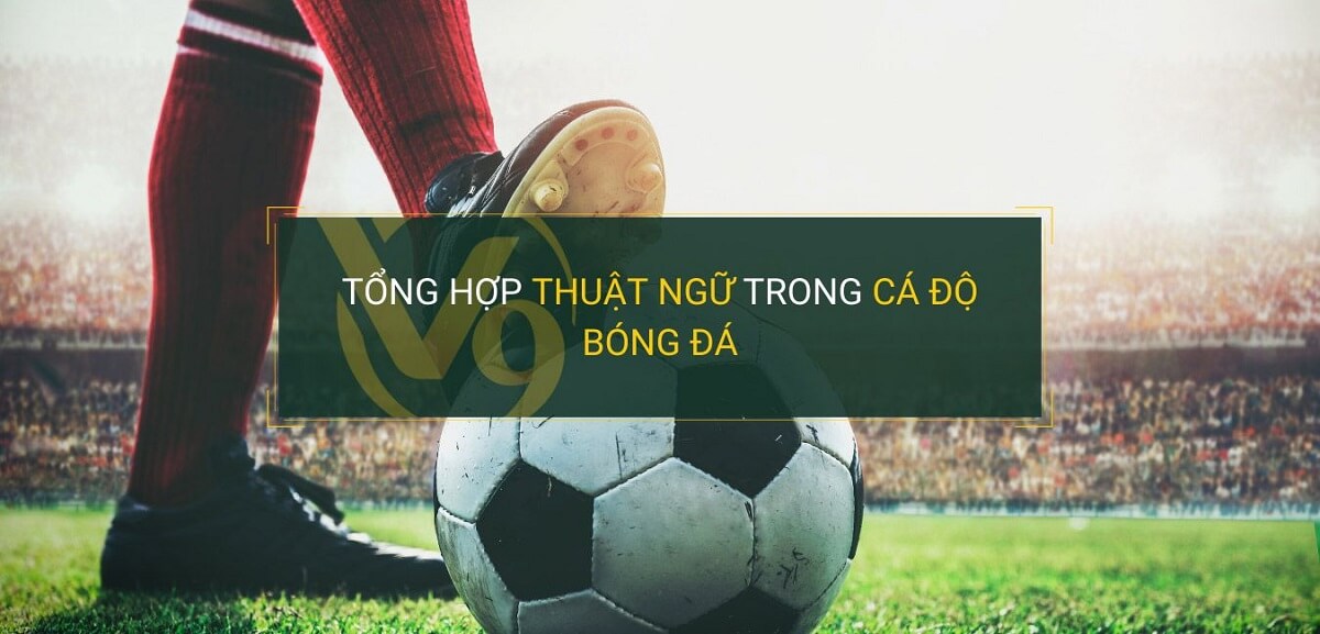 Tổng hợp "tất tần tật" những thuật ngữ cá độ bóng đá cần biết